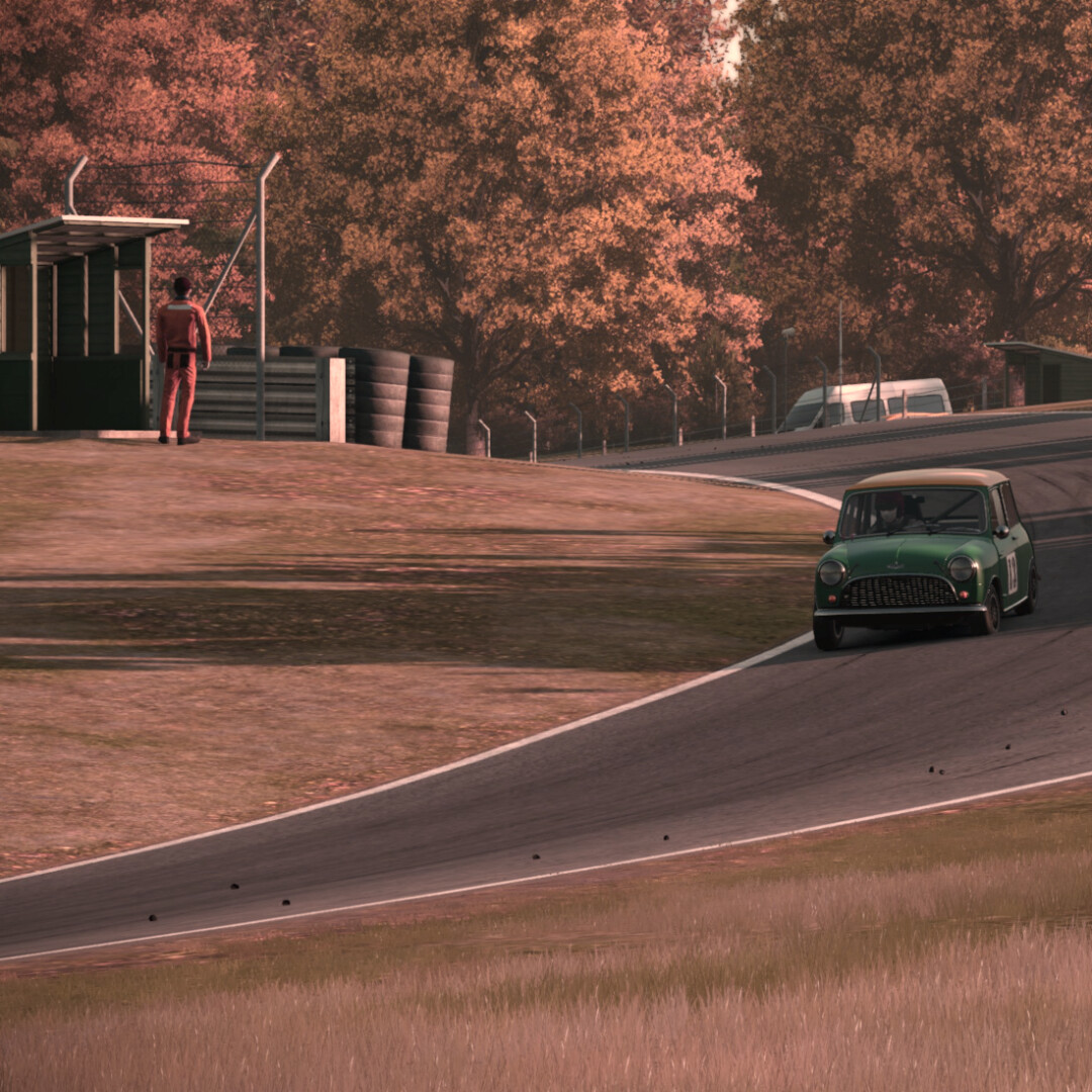 Mini Cooper S, Cadwell Park, Automobilista 2...

A combination which works extremely well.