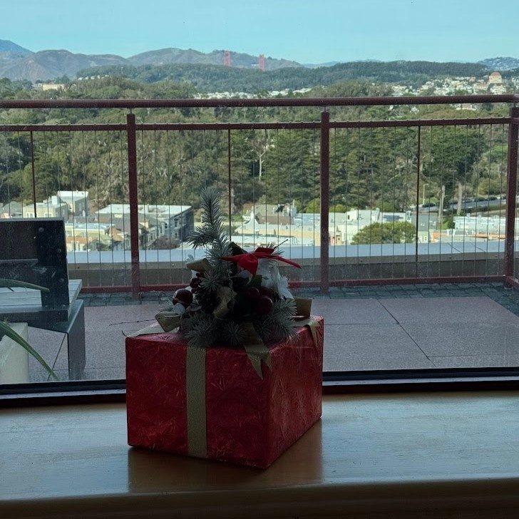 A window view showing the Golden Gate looking north from San Francisco, with the two orange towers of the bridge visible well beyond Golden Gate Park. In the window sill, a wrapped present with ribbon is visible.