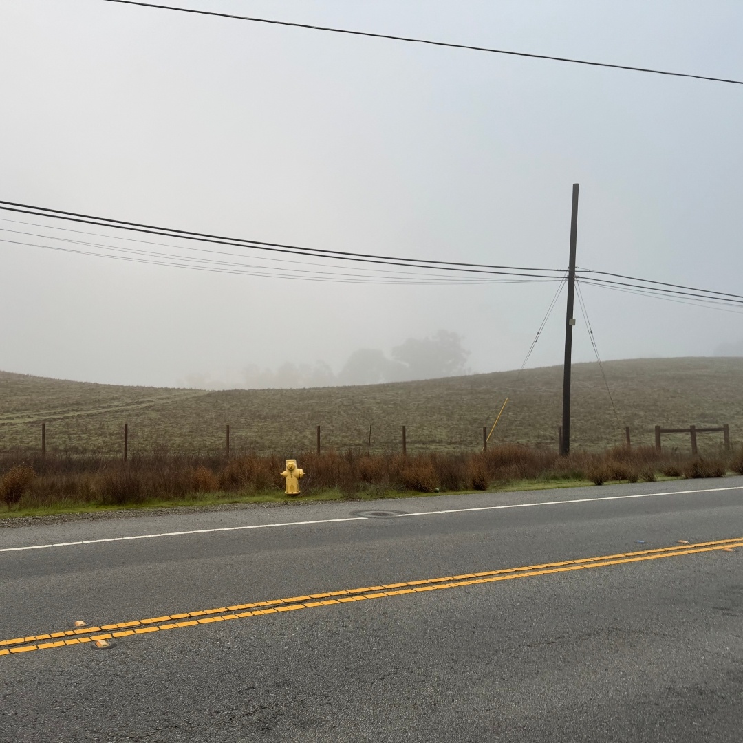 A view on a fog-shrouded landscape with a road at the bottom, and a fire hydrant across the road along with telephone poles and wires. In the distance, some trees can be half-seen.