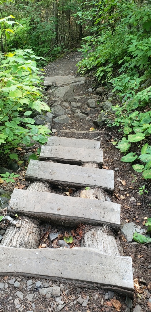 Steep steps down down, they're brown and irreguarly placed.