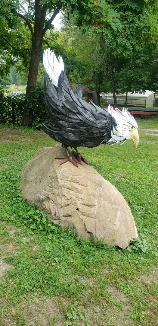 A Bald Eagle made out of tire.