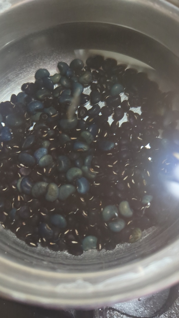 A metal pot containing a small amount of dark beans and a huge amount of water. A few of the beans are lighter in color and much more plump.