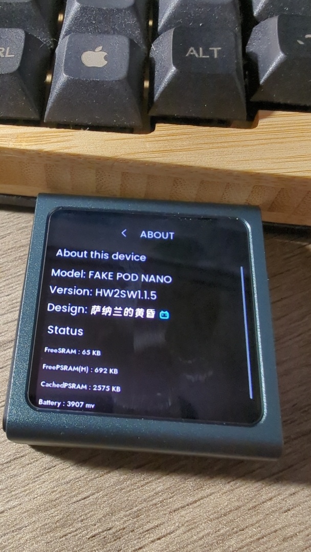 A screen on the same player showing an About page with various info about the device.