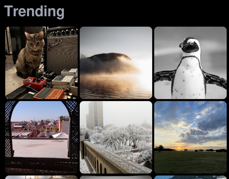 we all started from zero. six trending photos to spread the love

visit their profile, share their photos and give them a follow
@Pickles.Aplenty @mylenem @akahardy @BillOfEarth42 @Tompcho @garretble