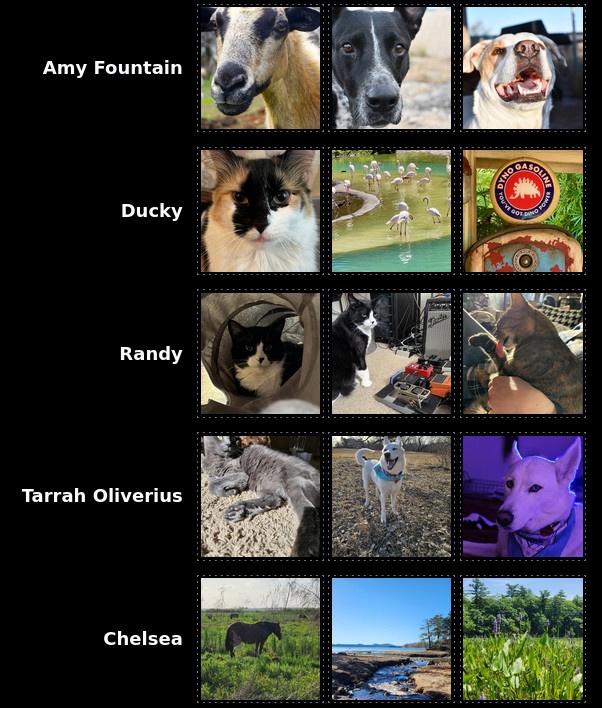 cats, dogs, horses ... for all animal lovers

visit their profile, share their photos and give them a follow
@Pickles.Aplenty @amyfou @Ducky @tarrahbee @WildWanderer