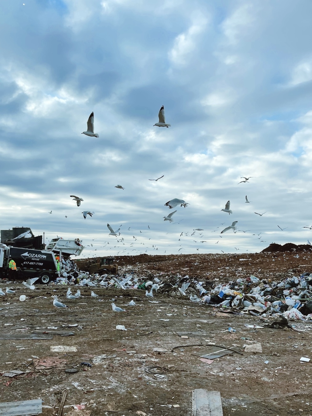 Photograph of a garbage dump. Birds circle in the air, a dramatic sky in the background.